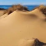 Oasi Del Relax - Seaside Peaceful Panoramic Terrace In Italy - New Sardinia 50 Mt Beach&sea Full Comfort Air Conditioning-wifi-parking-privacy Apartament