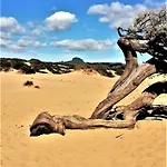 Apartament Oasi Del Relax - Seaside Peaceful Panoramic Terrace In Italy - New Sardinia 50 Mt Beach&sea Full Comfort Air Conditioning-wifi-parking-privacy Torre dei Corsari