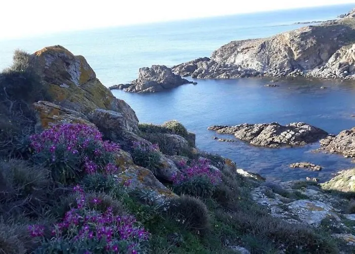 Oasi Del Relax - Seaside Peaceful Panoramic Terrace In Italy - New Sardinia 50 Mt Beach&sea Full Comfort Air Conditioning-wifi-parking-privacy