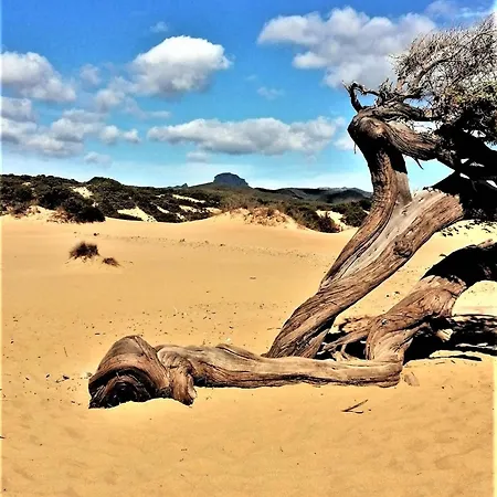 شقة Oasi Del Relax - Seaside Peaceful Panoramic Terrace In Italy - New Sardinia 50 Mt Beach&sea Full Comfort Air Conditioning-wifi-parking-privacy توري دي كورساري