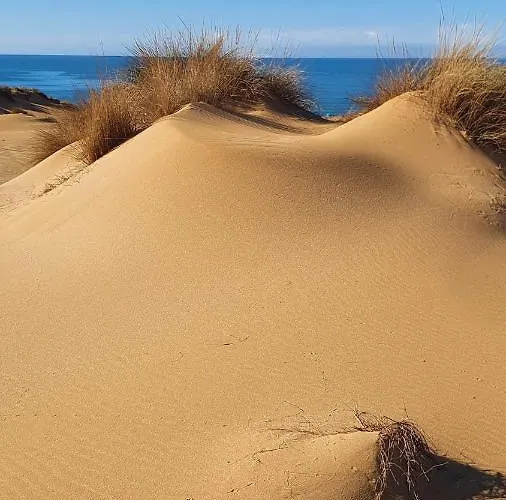 Oasi Del Relax - Seaside Peaceful Panoramic Terrace In Italy - New Sardinia 50 Mt Beach&sea Full Comfort Air Conditioning-wifi-parking-privacy Apartman